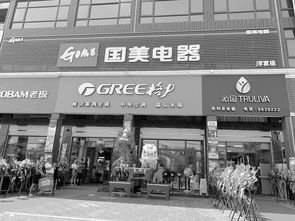 下沉市場家電連鎖換新顏，國美新零售店獲縣域老板點贊
